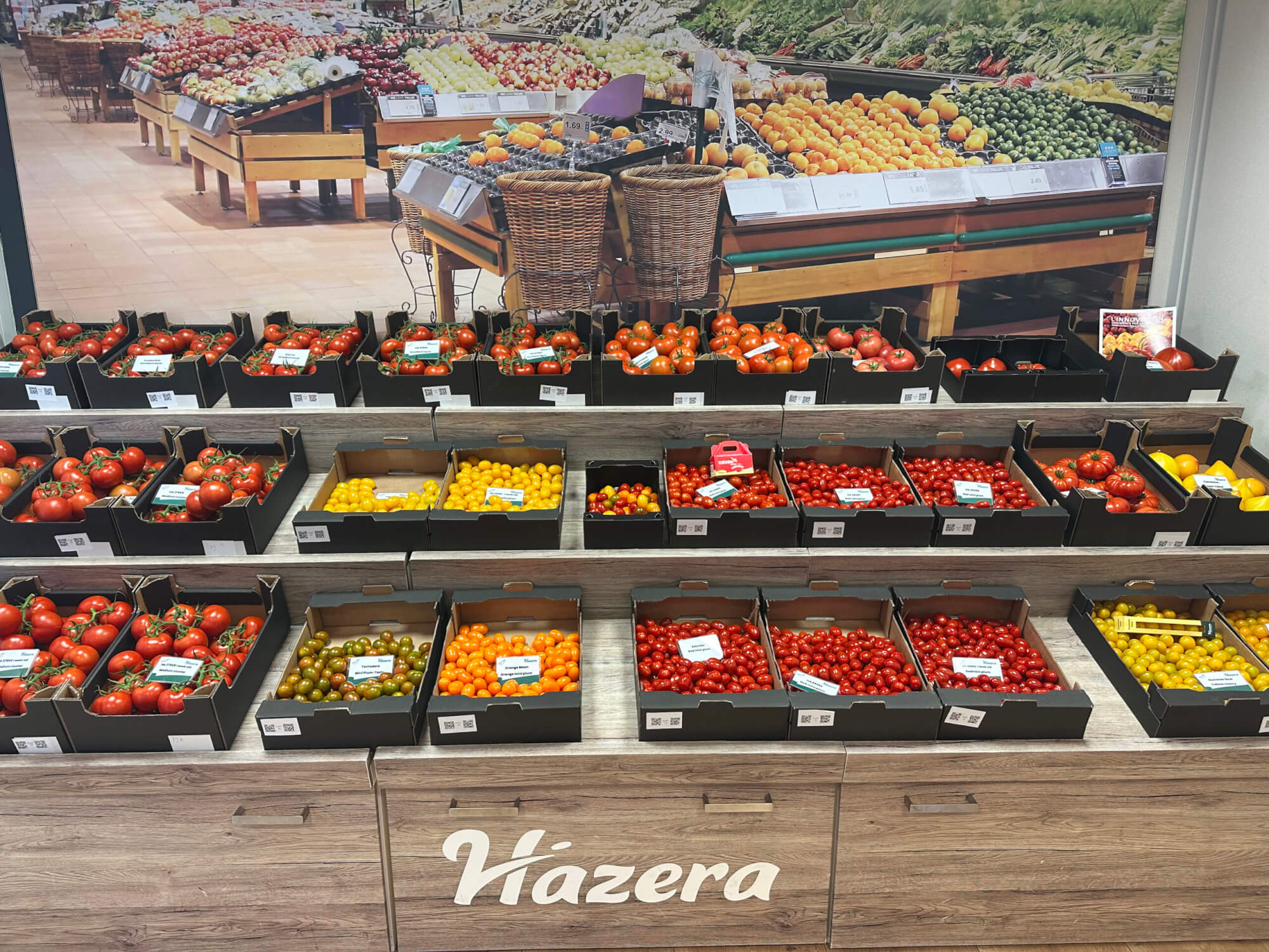 HT_Hazera1